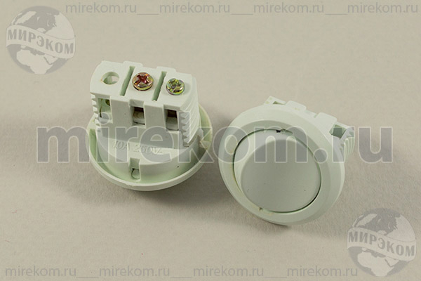 ПКл\ 2Cвинт\10А\ON-OFF\d21,0(врезной)\бел\[D27]