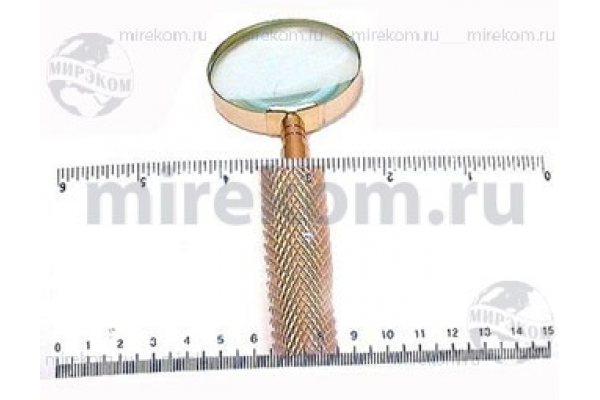 лупа  2*\ 60x160мм\\\1864L\Френеля с линейкой